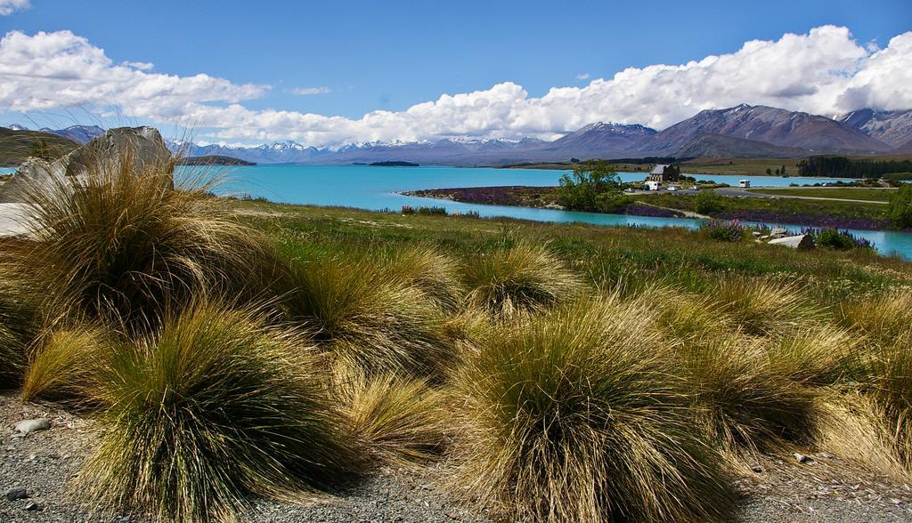 Phoenix Motels Temuka Exteriér fotografie